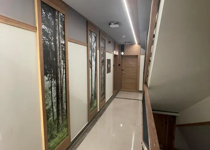 Escape Panorama Tara 公寓 *